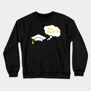 Graduation Humor T-Shirt "Now What!?!" - Comical Graduate Top, Celebration Shirt for Graduation Party, Fun Gift for Graduating Students Crewneck Sweatshirt